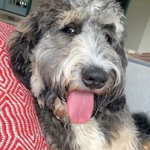 Meet your Posher, Beth